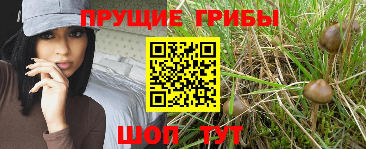 Псилоцибиновые грибы Magic Shrooms Кимры