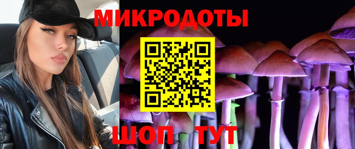 Галлюциногенные грибы прущие грибы  Вход с VPN  Кимры  что такое   Галлюциногенные грибы мицелий 